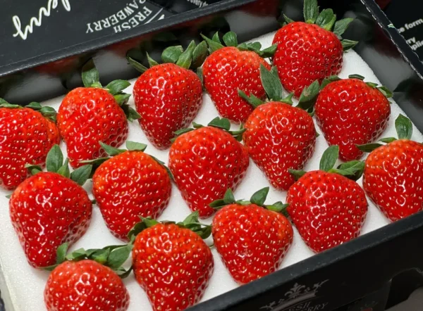 strawberry